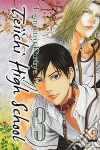 Teiichi high school. Vol. 3 libro