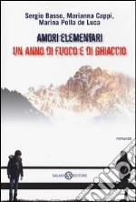 Amori elementari. Un anno di fuoco e di ghiaccio libro