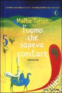 L'uomo che sapeva contare libro