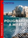 Polignano a Mare libro di Matarrese Domenico