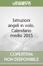 Istruzioni angeli in volo. Calendario medio 2015 libro