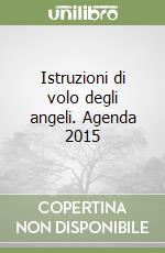 Istruzioni di volo degli angeli. Agenda 2015 libro