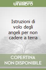 Istruzioni di volo degli angeli per non cadere a terra libro