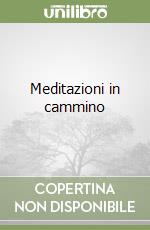 Meditazioni in cammino libro