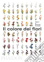 Il colore dei fiori