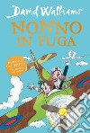 Nonno in fuga libro