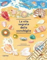 La vita segreta delle conchiglie