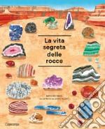 La vita segreta delle rocce. Album scoperte