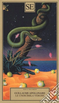 Le undicimila verghe libro