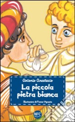 La piccola pietra bianca