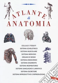 Atlante di anatomia