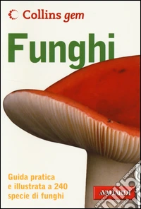 Funghi