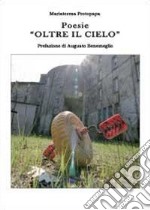 Oltre il cielo libro