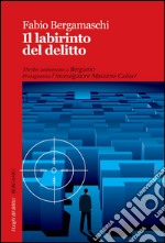 Il labirinto del delitto libro