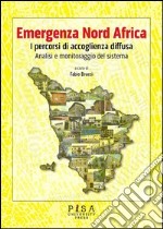 Emergenza nord Africa. I percorsi di accoglienza diffusa. Analisi e monitoraggio del sistema libro