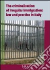 The criminalization of irregular immigration: law and practice in Italy libro