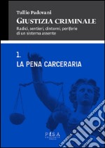 Giustizia criminale. Vol. 1: La pena cerceraria libro