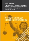 Giustizia criminale. Vol. 2: Misure di sicurezza e misure di prevenzione libro