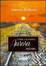 Come un'antica aurora libro