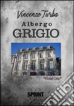 L'albergo grigio libro