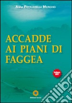 Accadde ai piani di Faggea libro