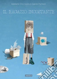 Il ragazzo inconstante libro