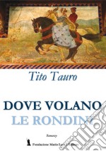 Dove volano le rondini