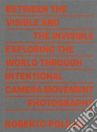 Between the visible and the invisible. Ediz. illustrata