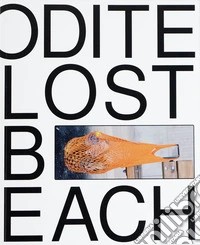 Louise Enhörning: Lost Time, Aphrodite Beach. Ediz. illustrata libro