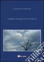 Nudo angolo di cielo libro