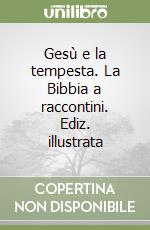 Gesù e la tempesta. La Bibbia a raccontini. Ediz. illustrata libro