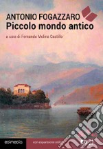 Piccolo mondo antico libro