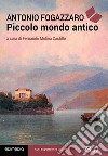 Piccolo mondo antico libro