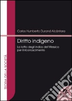 Diritto indigeno. La lotta degli Indios del Messico per il riconoscimento