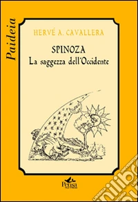 Spinoza. La saggezza dell'Occidente libro