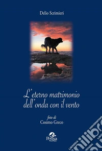 L'eterno matrimonio dell'onda con il vento libro