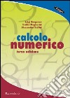 Calcolo numerico libro di Brugnano Luigi Magherini Cecilia Sestini Alessandra