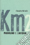 Pasolini e l'acqua libro di Michielin Elisabetta