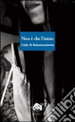 Non è che l'inizio libro