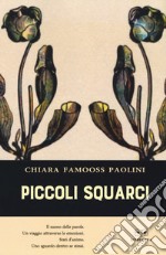 Piccoli squarci libro