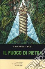 Il fuoco di pietra. Luce e ombra. Un destino inevitabile. Una nuova realtà libro