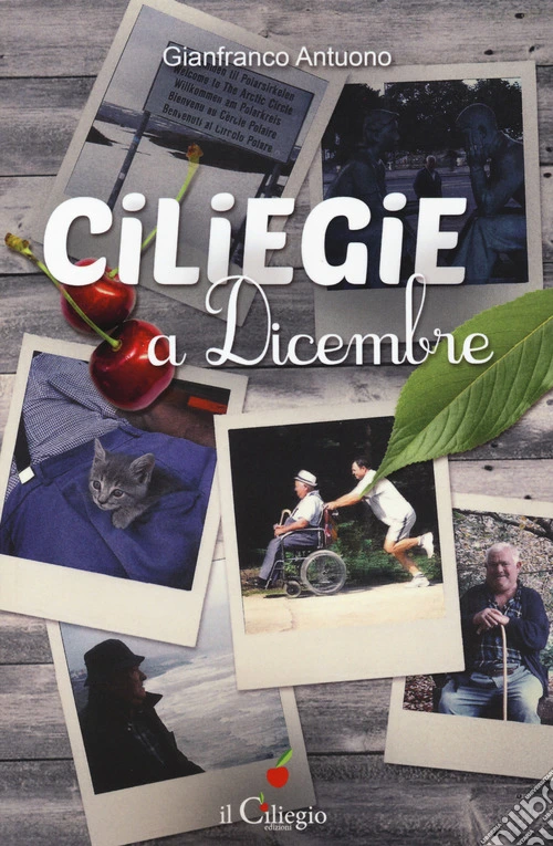Ciliegie a dicembre