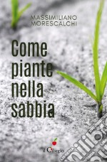 Come piante nella sabbia