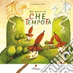 Nel paese di «Che tempo fa» libro