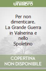 Per non dimenticare. La Grande Guerra in Valnerina e nello Spoletino libro