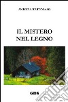 Il mistero nel legno libro di Bertolaso Andrea