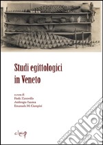 Studi egittologici in veneto libro