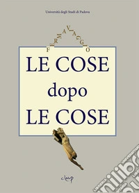 Le cose dopo le cose