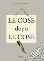 Le cose dopo le cose