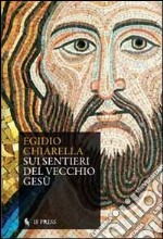 Sui sentieri del vecchio Gesù libro